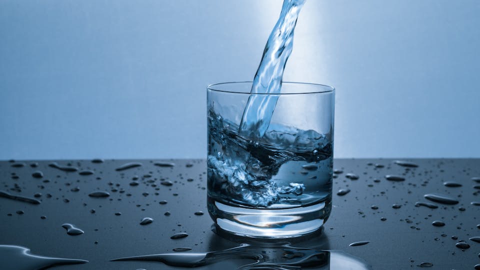 Bachwasser oder Seewasser für Carnivoren Die besten Tipps und zum Gießen