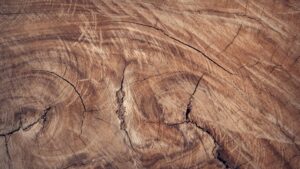 Die 12 besten Tipps zur Pflege und Reinigung von Holzmöbeln