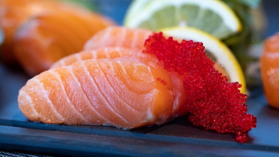 Die Wahrheit über Zuchtlachs - was ist zu beachten Tipps und Hinweise