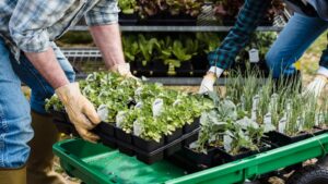 Land Restoration - Landwirtschaft in der Zukunft? Erklärung, Tipps und Hinweise 4 Land Restoration - Landwirtschaft in der Zukunft Erklärung, Tipps und Hinweise