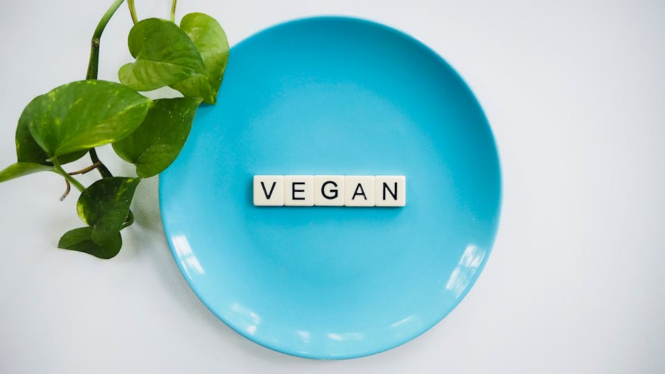 Vegan essen Optimale Aminosäurenzufuhr bei jeder Mahlzeit