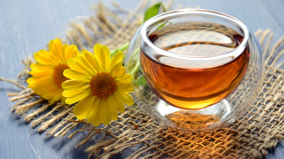Welche Teesorte kann man am besten mit Milch trinken Einschätzung und Überblick