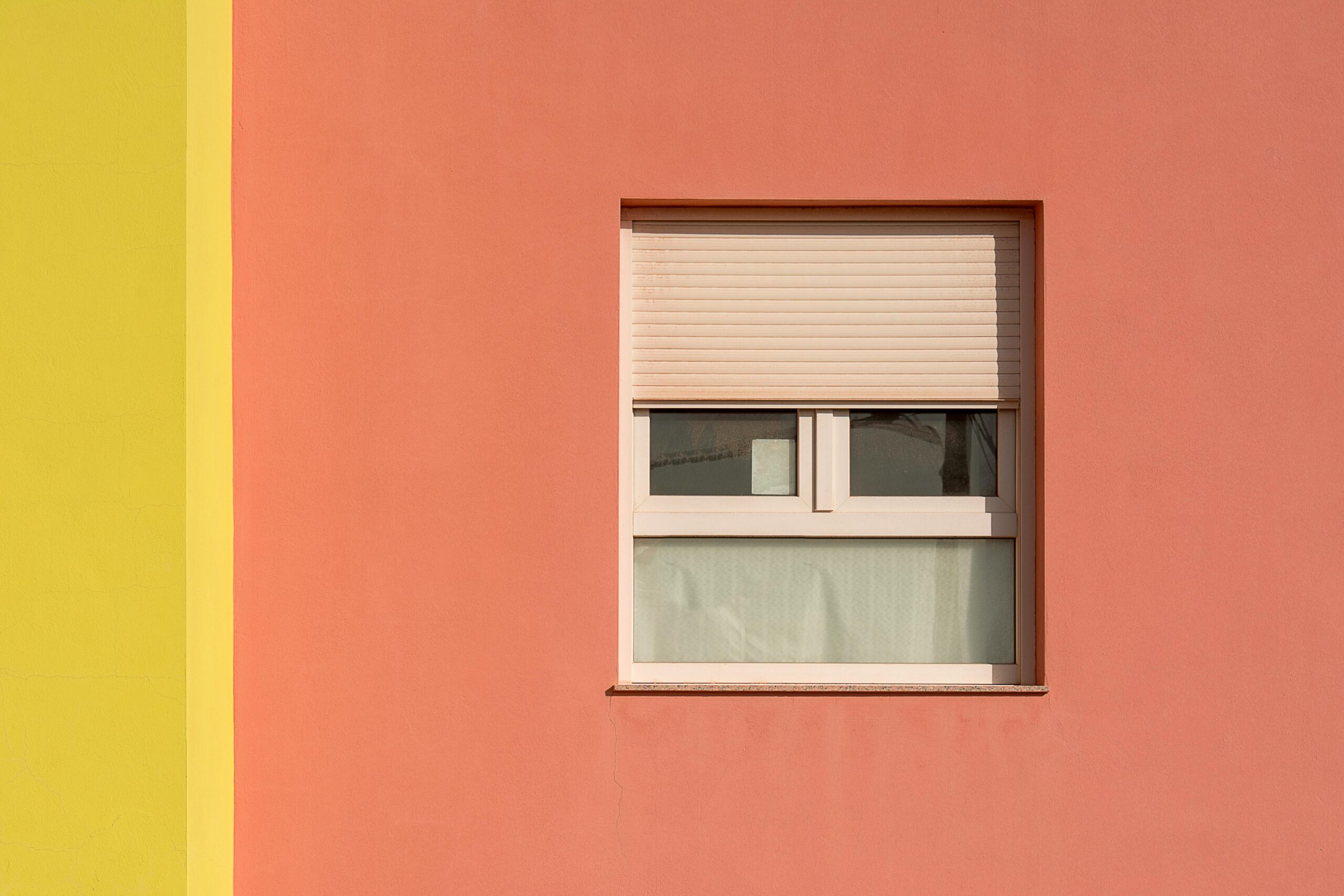 Sichtschutz: Günstige Lösung für zu Hause: DIY-Tipp und Handwerk