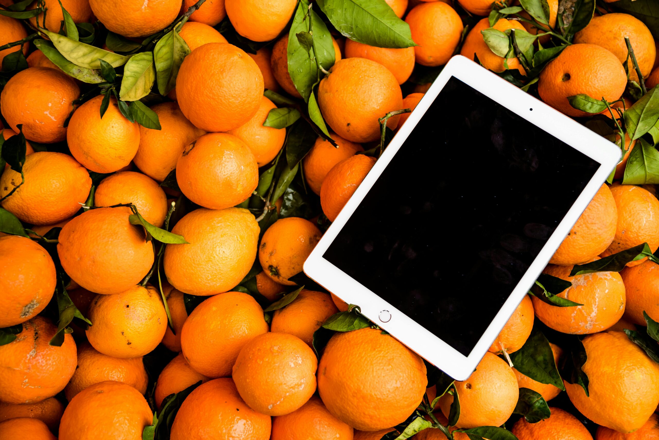 iPad Pro 2020 macht kein Update mehr - Lösung und Tipps