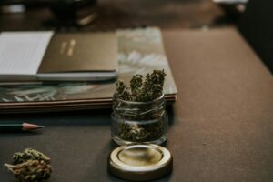 Wie viel Gras darf man haben - neue Regel nach Cannabis-Legalisierung in Deutschland 1 Wie viel Gras darf man haben - neue Regel nach Cannabis-Legalisierung in Deutschland