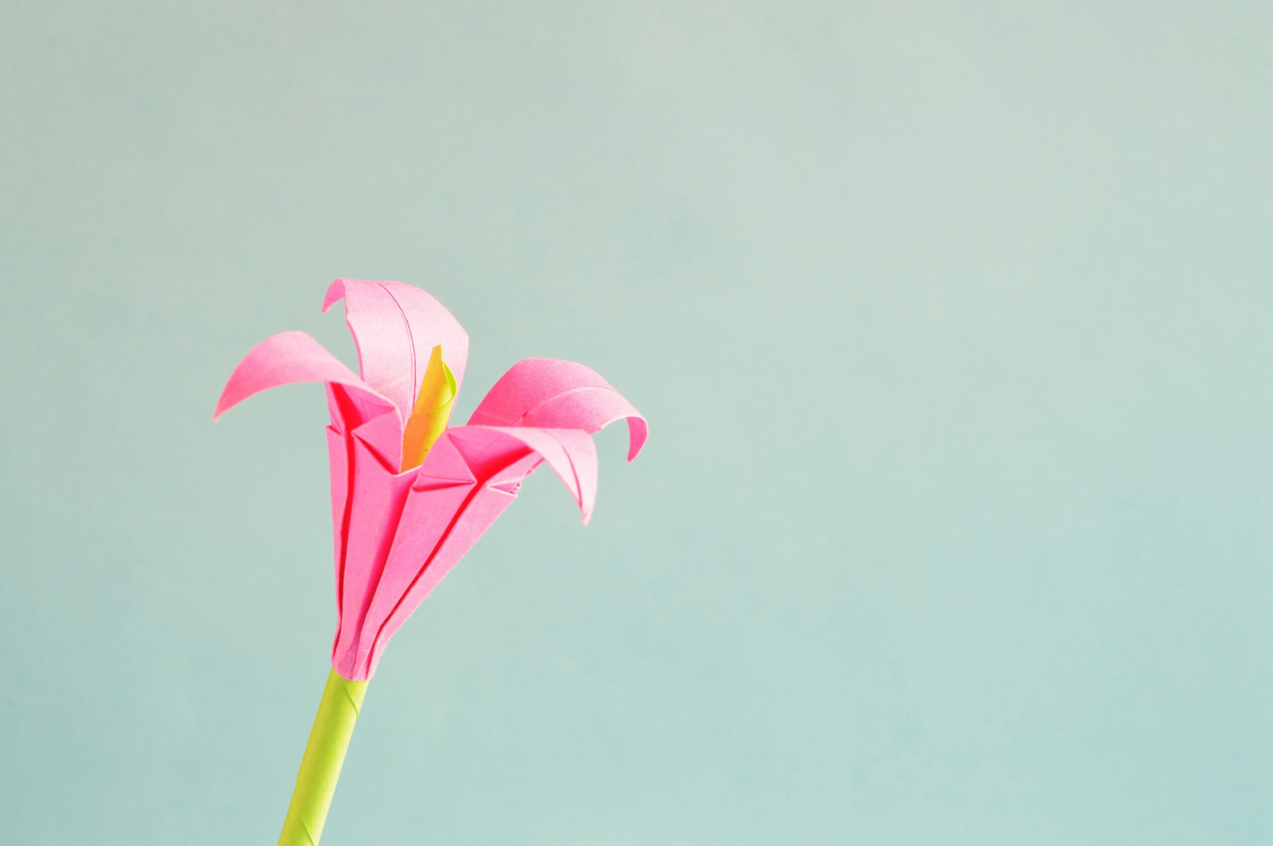 Blumen aus Butterbrottüten basteln - so geht's - Anleitung