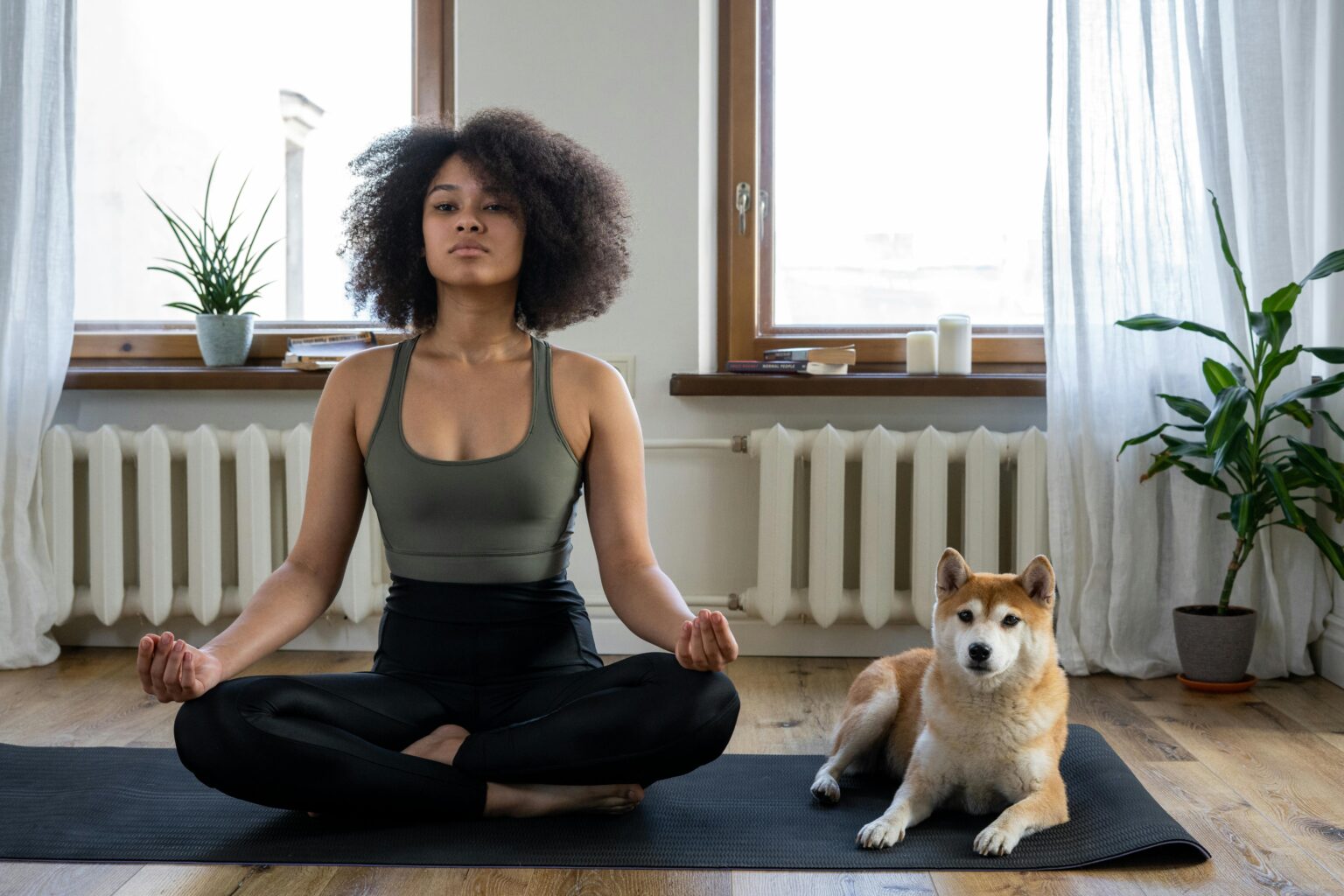 Was sind die besten Übungen, um fit zu bleiben ohne ins Fitnessstudio zu gehen?