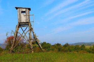 Worauf Sie beim Kauf von Jagdkleidung achten sollten