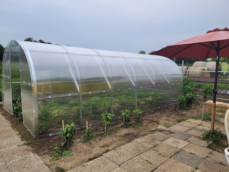 Die Vorteile des Gartenanbaus im Gewächshaus: Wie Pflanzen besser und schneller wachsen 4 image 6