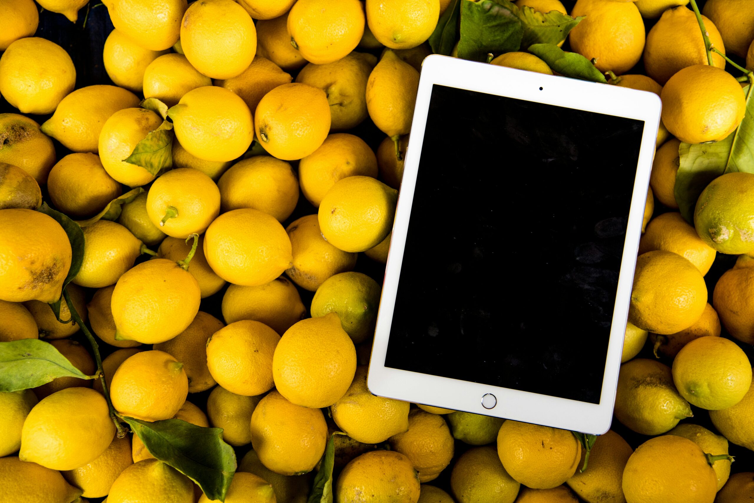 Warum bleibt der Bildschirm meines iPad Pro (2021) schwarz?