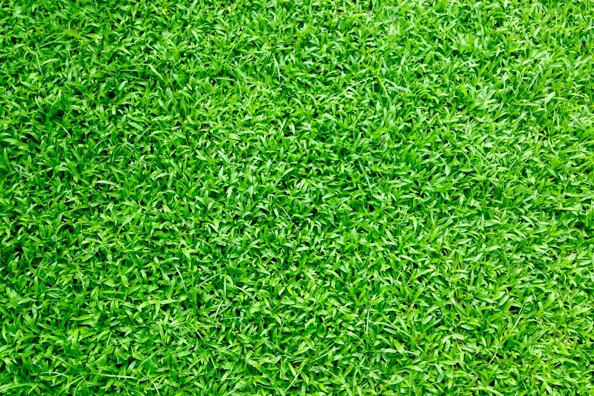Gardena Mähroboter Fehlermeldung - blaues Licht, außerhalb des Arbeitsbereichs