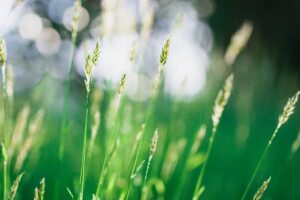 Gardena Mähroboter Fehler 81 – Korridorbreite anpassen