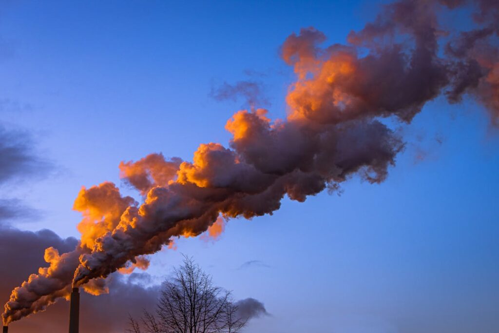 CO₂-Fußabdruck reduzieren: 12 einfache Maßnahmen für den Alltag