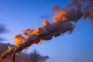 CO₂-Fußabdruck reduzieren: 12 einfache Maßnahmen für den Alltag